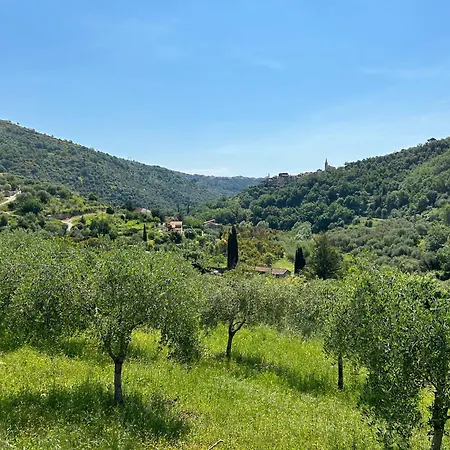 דירה La Casa Negli Ulivi, Con Piscina