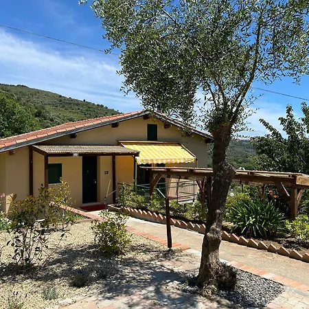 La Casa Negli Ulivi, Con Piscina