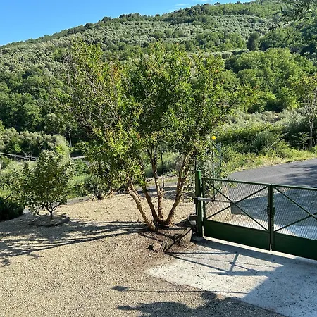 La Casa Negli Ulivi, Con Piscina דירה
