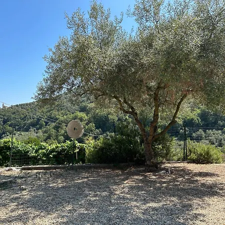 La Casa Negli Ulivi, Con Piscina