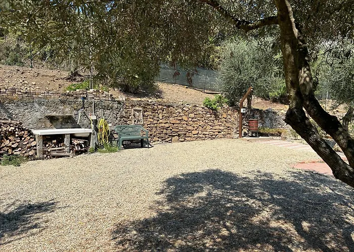 Lägenhet La Casa Negli Ulivi, Con Piscina