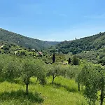 Daire La Casa Negli Ulivi, Con Piscina