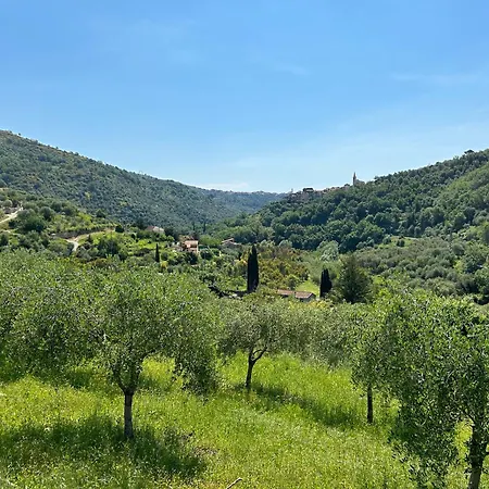 Appartement La Casa Negli Ulivi, Con Piscina