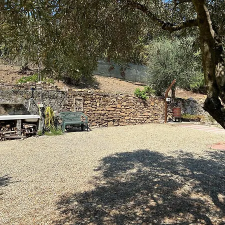 Daire La Casa Negli Ulivi, Con Piscina