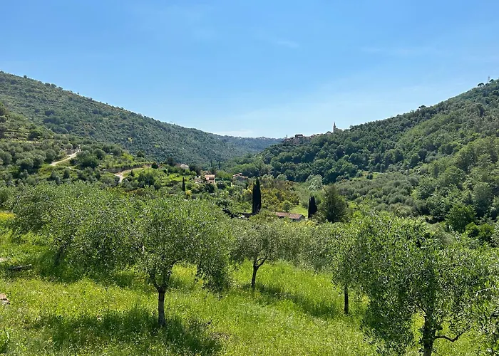 Lejlighed La Casa Negli Ulivi, Con Piscina