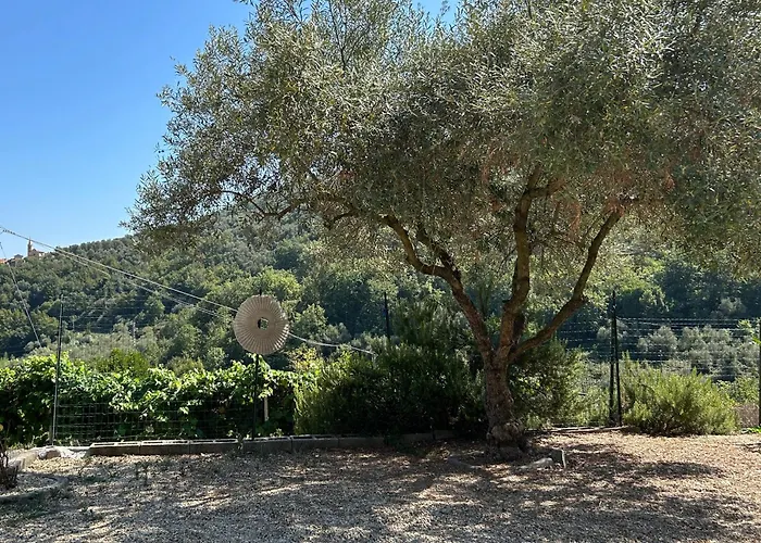 La Casa Negli Ulivi, Con Piscina